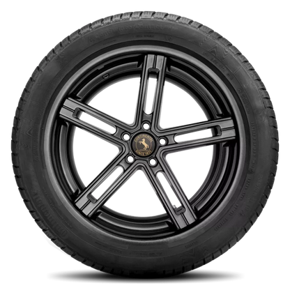 Continental Contiwintercontact TS 830 P Tires 195/65R15 03531250000